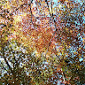 bcalsk600748's Avatar