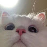 parakat11ho681's Avatar