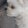 ssjeong82@gmail.com