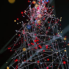 Bruger: Hocine Taklit