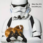 ผู้ใช้: Archer Smith