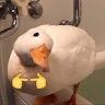 veridicomonaro's Avatar