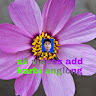 author-avatar