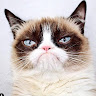 Agata Ol's profile picture