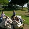 יעל טהרני's photo