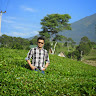 Created by