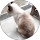 みいこ