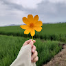 Created by