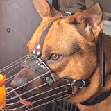 Χρήστης: Leslie Hovey