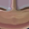 Bình Lê Ngân