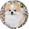 은화