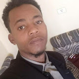 Utilizator: Nebil Awel