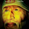 Sai Naidu
