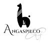 Foto del escritor: angaspilcok