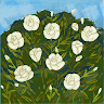 Created by