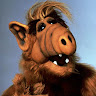 ALF