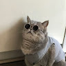 User 30071 avatar