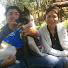 Created by