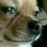 userThumbnail