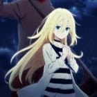 Gebruiker: Angel Roe