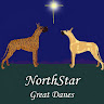 NorthStar Great D.'s profile image