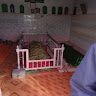 Shariq Rizvi