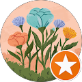 Avis de Jasmin.h avec une note de 3 sur 5