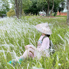 Utilisateur: phương lan