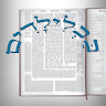 Writer: bavli917