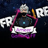 ameer with gaming ff subscribers