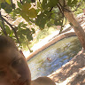 צבי בן ארי's photo