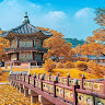 Đặng Hương