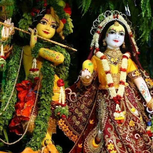 Raj Verma Verma profile pic