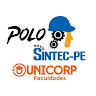 Foto do escritor: Polo Sintec-PE Educação