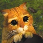 ผู้ใช้: Lynn Aungier