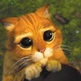 사용자를: Lynn Aungier