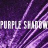 Purple Shadow Agency