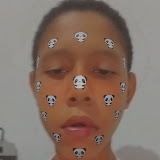 Luis Carlos Martins Barbosa