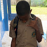 Cuffdem profile