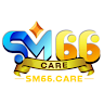 SM66 care