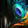 user-avatar