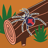 Utilizator: Pin Taus