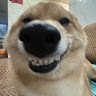 2993941579785's Avatar