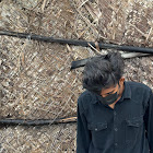 Kullanıcı: Harish V