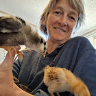 Usuario: Julie Lawler