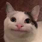 Bruger: soh edwin zy