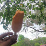 18_Divyanshu Meena
