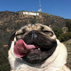 Utilisateur: XIN JIN