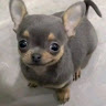 ammwendy7344's Avatar
