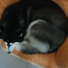 溪瓜 0